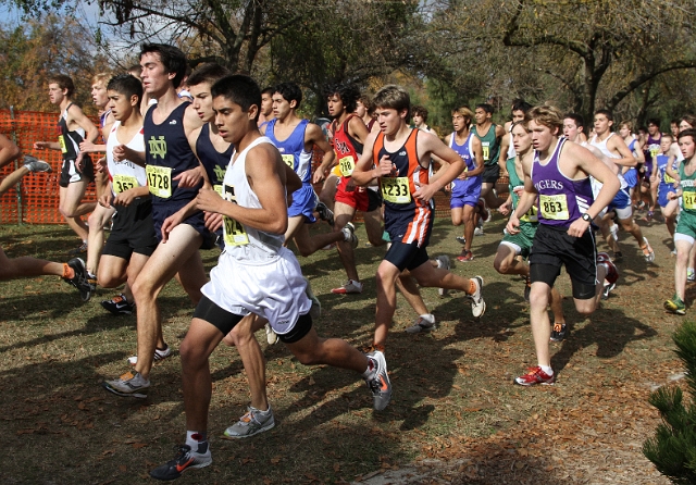 2009 CIF XC Boys D4-027.JPG - 2009 California CIF Cross Country Championships, Woodward Park, Fresno, California